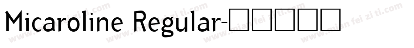 Micaroline Regular字体转换